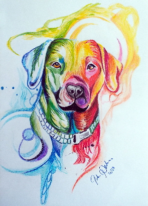 Color-Dog