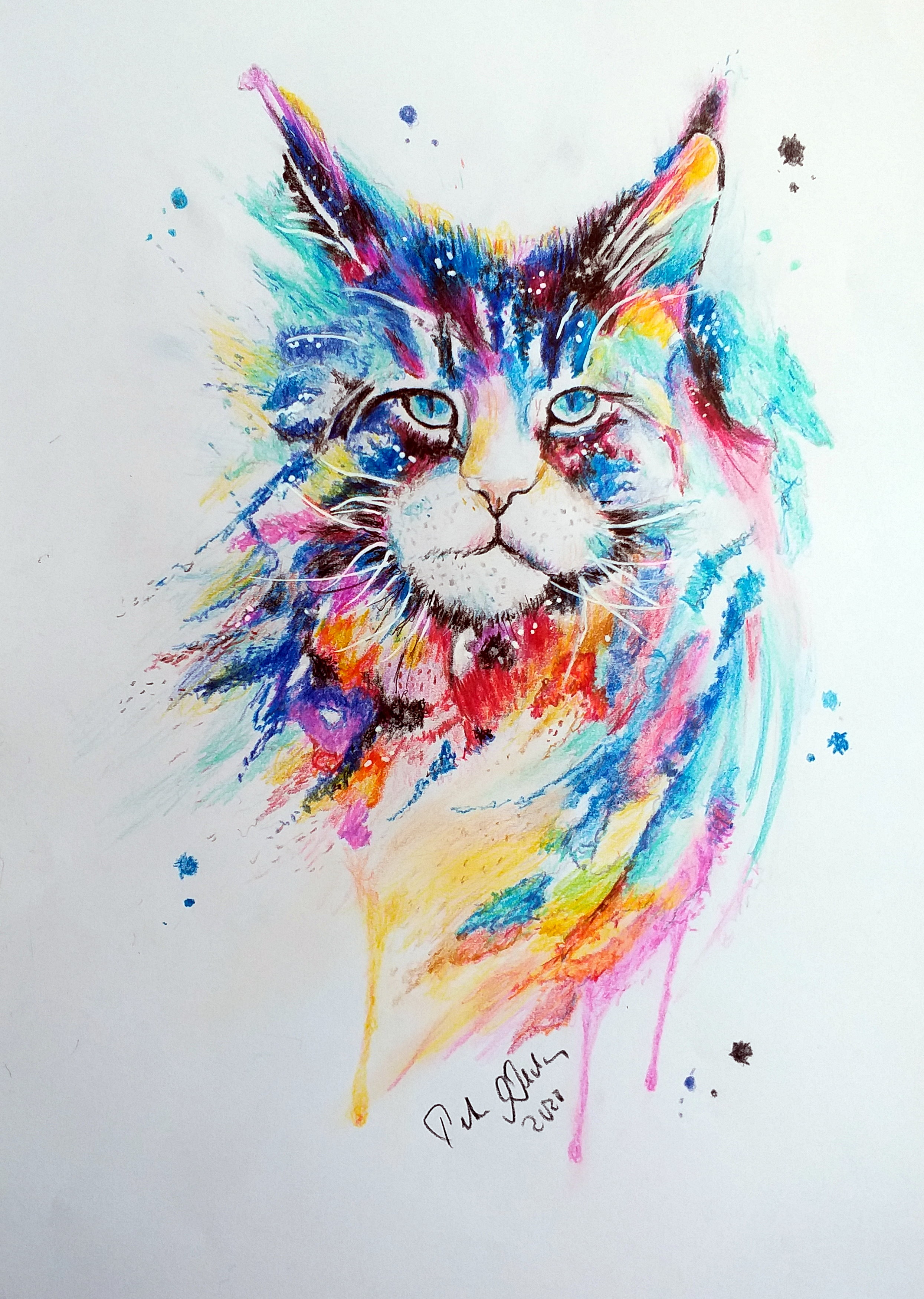 Katze1 Color