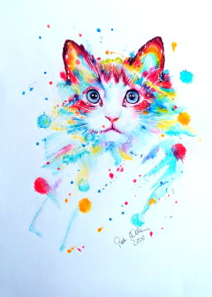 Katze2 - Color mini 